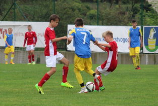 足球赛场焦点！比利时队对阵俄罗斯队，老将回归赛场，再度燃起斗志